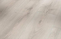 Ламинат Parador Basic Plus 600 XS 1593828 Дуб Аскада Выбеленный фото 1 | FLOORDEALER